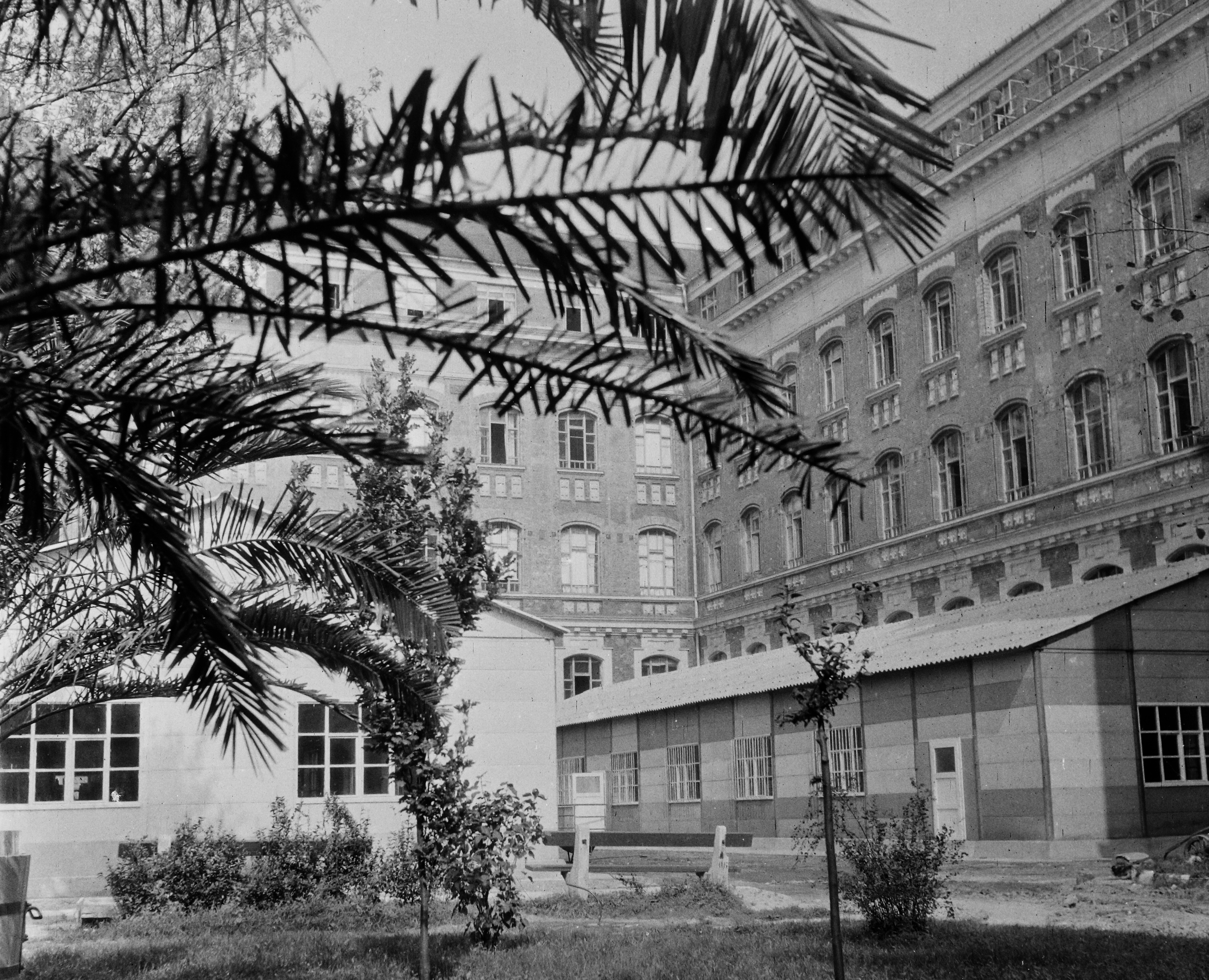 Fortepan/Bauer Sándor | https://fortepan.hu/hu/photos/?id=110610